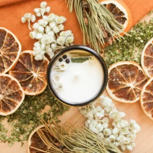 Chandelle forêt boréale